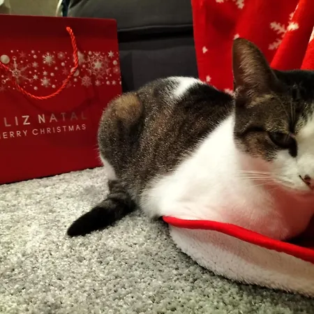 Casa Da Aldeia Dom wakacyjny *