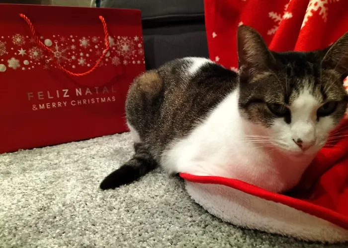 Casa Da Aldeia בית נופש *